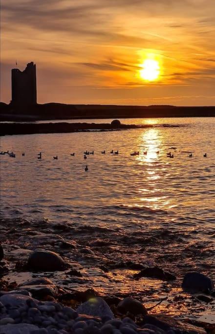 Meadow Lane Daire Sligo Dış mekan fotoğraf