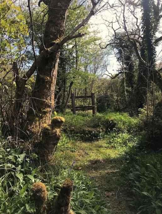 Meadow Lane Daire Sligo Dış mekan fotoğraf